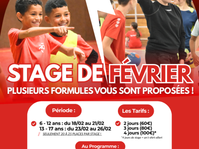 🟥 Stage de février : vivez une semaine 100 % handball avec le Reims Champagne Handball !